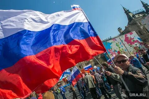 Референдумы отменены