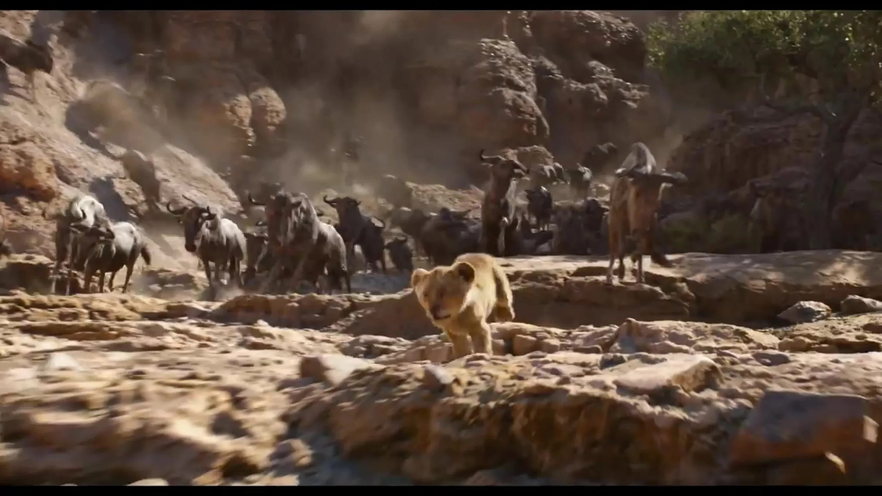 Муфаса король лев трейлер 2024 на русском. Муфаса король лев информация. Mufasa the lion king 2024. Муфаса король лев 2024 трейлер. Муфаса король лев трейлер 2024 на русском.