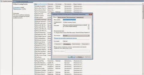 Flexnet licensing service что это