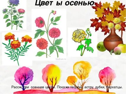 Растения осенью 3 класс 8 вид