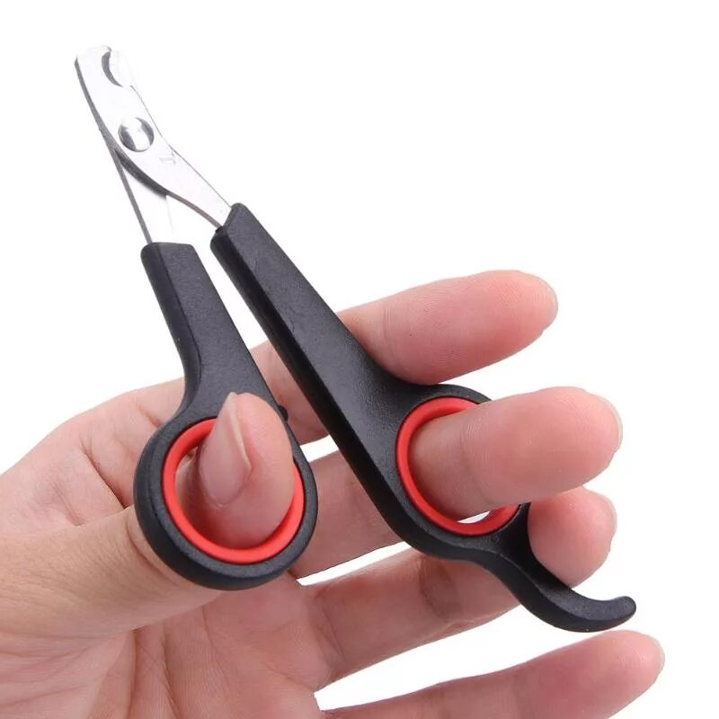 Сколько стоит подстричь ногти. Ножницы-когтерез для кошек (Cat Nail Scissors)5903111644192. Ножницы для ногтей mrz a1378. Ножницы для подстригания ногтей для собак. Щипчики для стрижки когтей у собак.