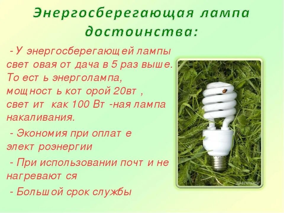 Почему энергосберегающая лампочка. Энергосберегающие лампочки. Лампа накаливания энергосберегающая. Люминесцентные лампы энергосбережение. Электрическая лампочка энергосберегающая.
