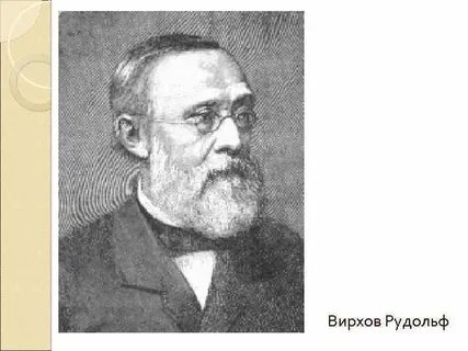 Р вирхов ввел положение