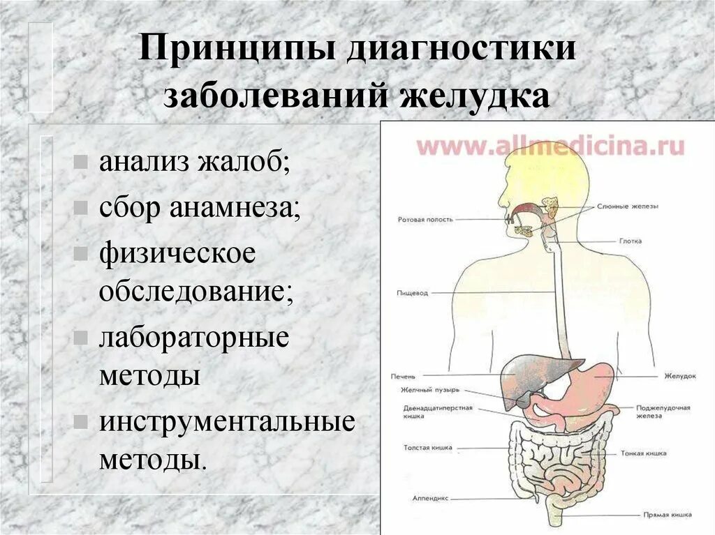 Заболевания жкт сообщение. Диагностика заболеваний желудка. Принципы диагностики заболеваний ЖКТ. Принципы диагностики заболеваний ЖК. Патология ЖКТ презентация.