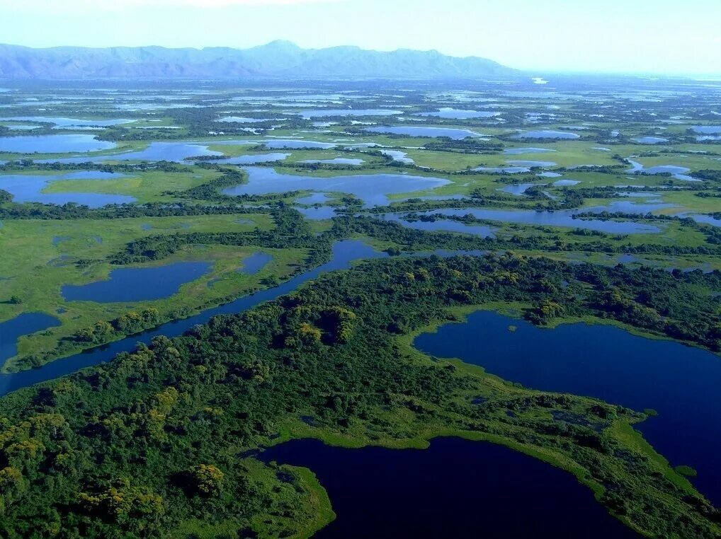 Заповедник пантанал. Пантанал южная америка. Водно болотное угодье. Пантанал южная америка. Пантанал бразилия.
