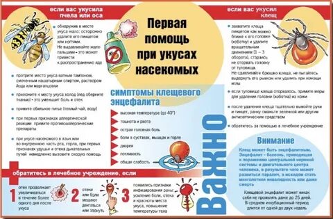 Почему опасен укус