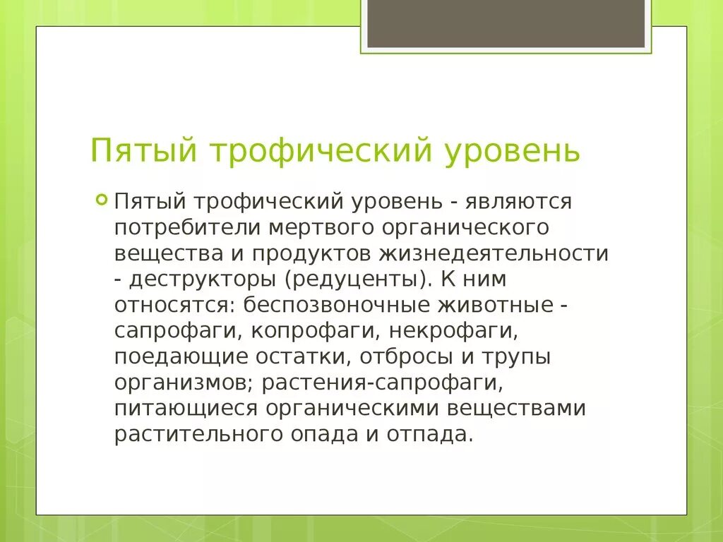 1 трофический уровень образует. Трофические уровни. Пятый трофический уровень. Трофические уровни 5 уровень. Трофические уровни экосистемы.