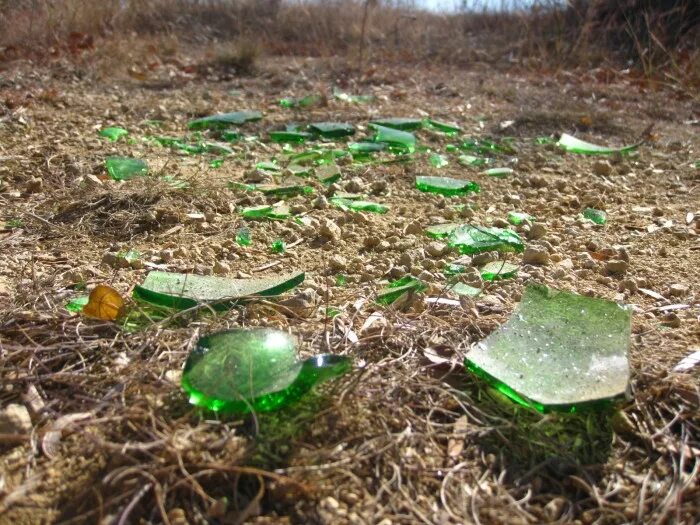 Трава осколка. Нашел не участке осколок стекла зеленого цвета. Осколки от бутылки стеклянные коричневые. Брошенные стеклянные бутылки в лесу фото. Кидай стек