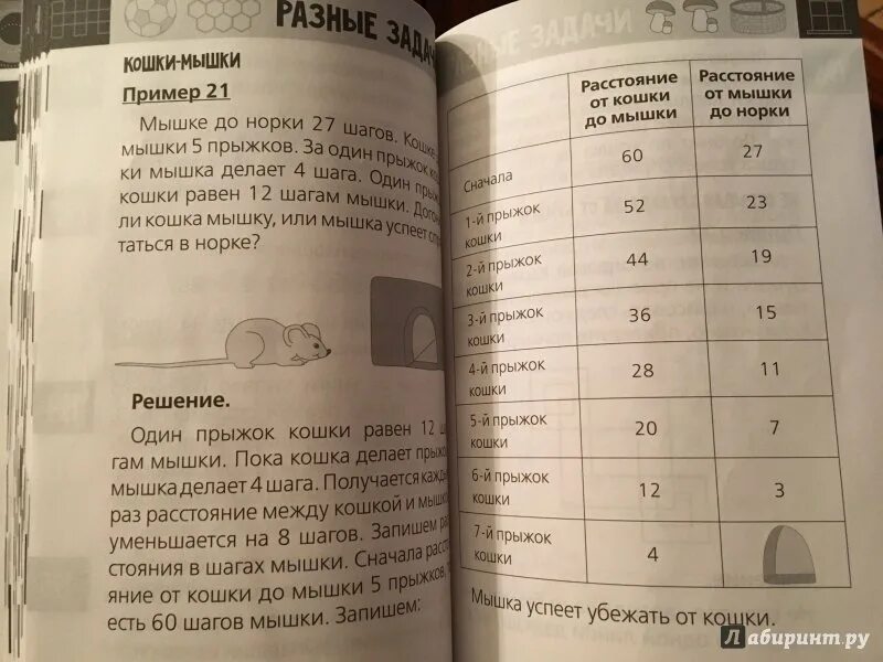Мышки до кошки 20 шагов. Нескучная математика для детей от 10 лет. книга нескучная математика для детей от 10 лет. мышке до норки 20 шагов кошке до мышки 5 прыжков за один. нескучная математика для детей от 7 лет.