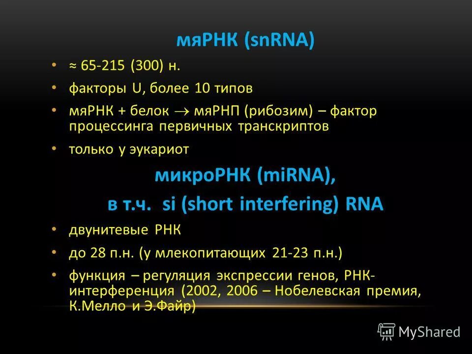 Малая ядерная РНК. Строение малых ядерных РНК. МЯРНК функции. Малые ядерные РНК строение примеры.