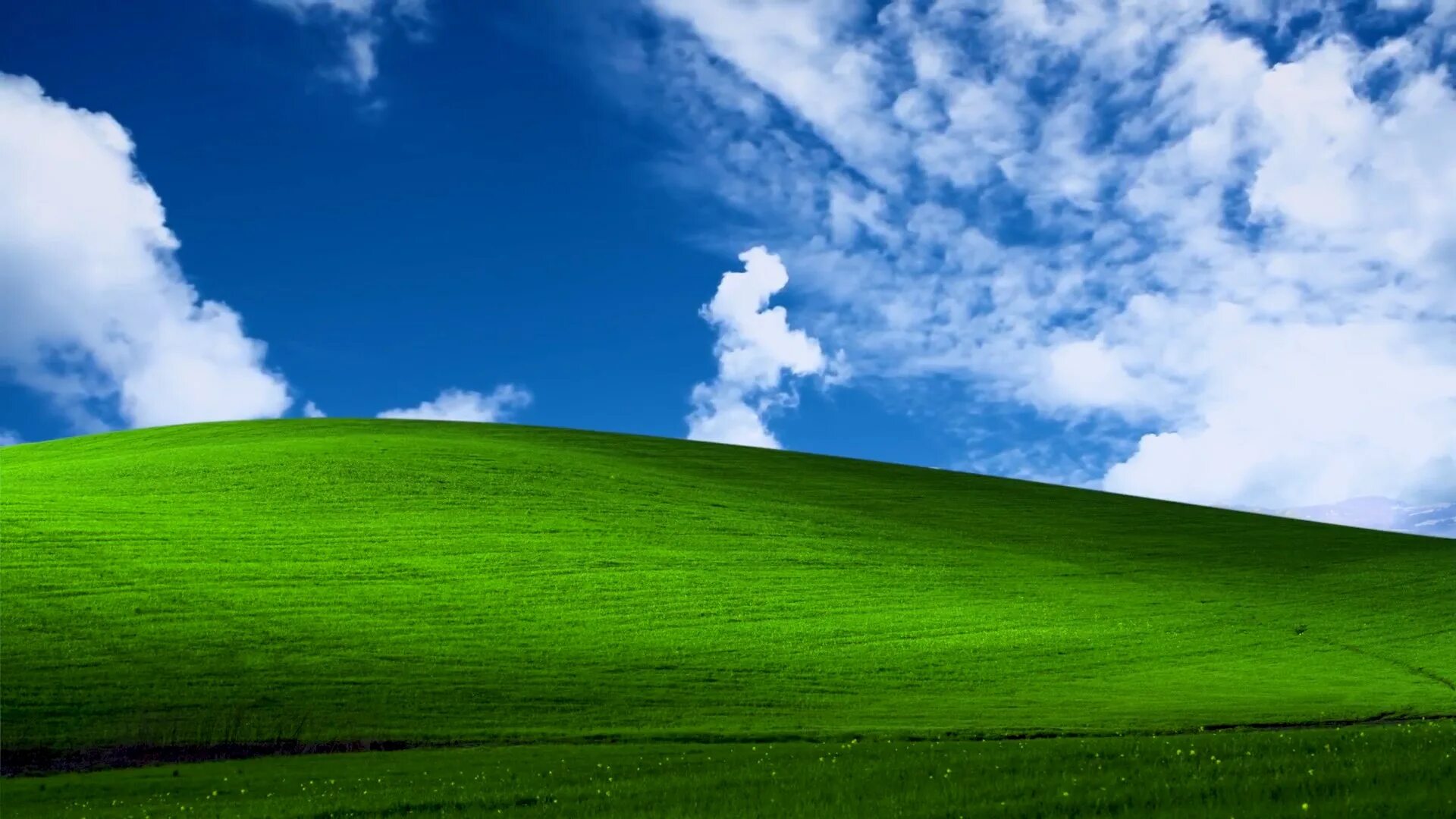 Windows XP рабочий стол. Фон виндовс. Фон Windows XP. Заставка win XP. Просто главный экран