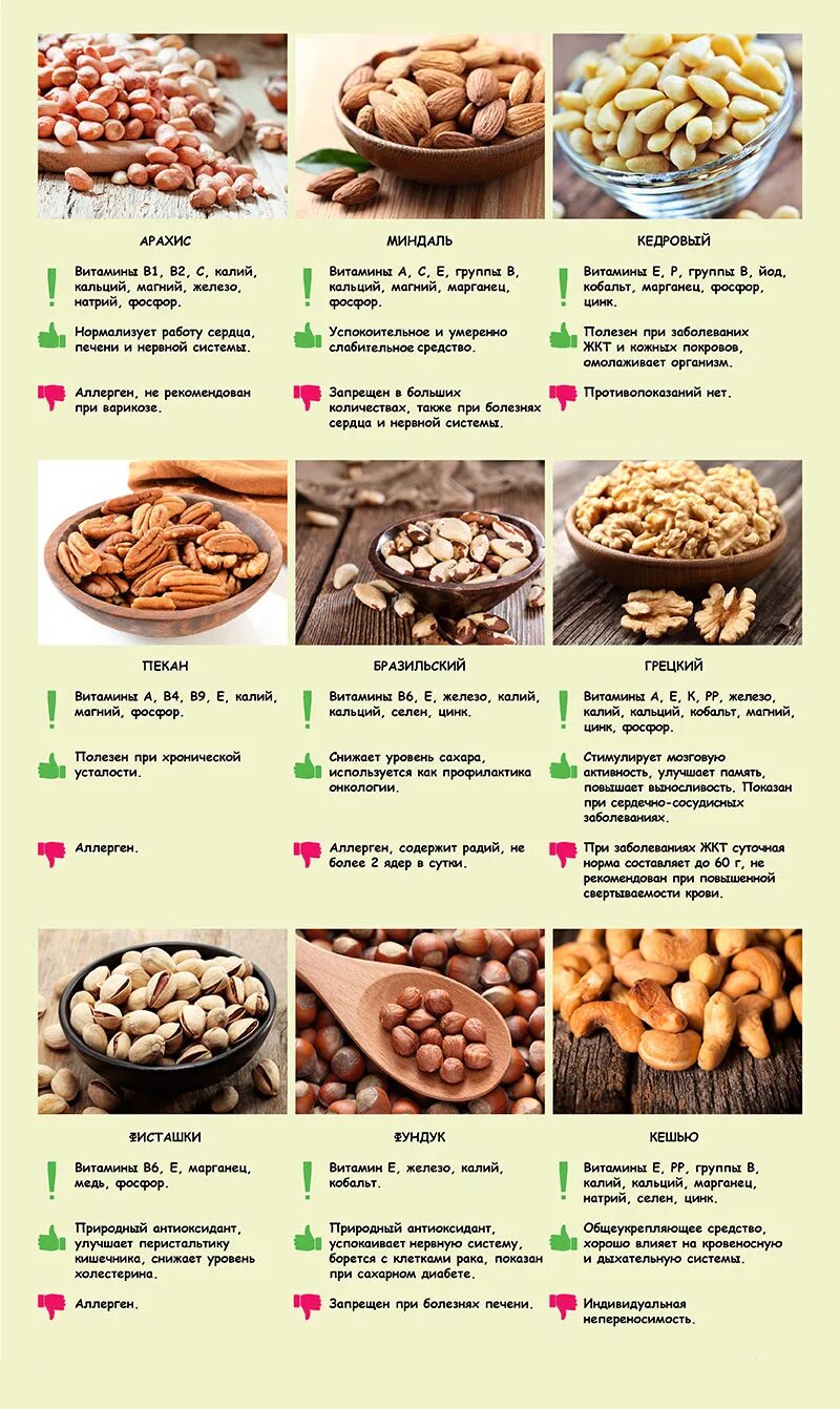 Орехи польза. Полезные орехи для организма. Полезные свойства орехов. Витамины в орехах. Сколько орехов можно детям