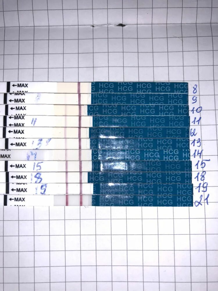 21 день после овуляции. 21 день после овуляции. 21 дпо тест. 21 день после овуляции. 21 день после овуляции.