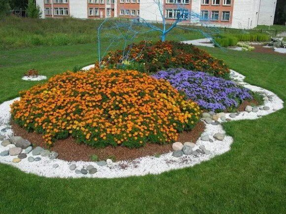 Сибирский цветовод рассказала, какие цветы сеять и садить в конце апреля АиФ Нов