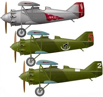 Ant 5