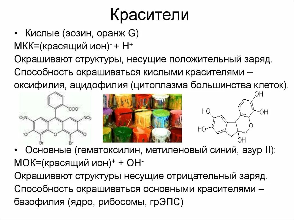 Ацидофильными называют структуры воспринимающие красители. Основные красители в гистологии. ацидофилия это в гистологии. группы красителей название окрашиваемых структур пример красителя. нейтральные красители окрашиваемые структуры клетки.