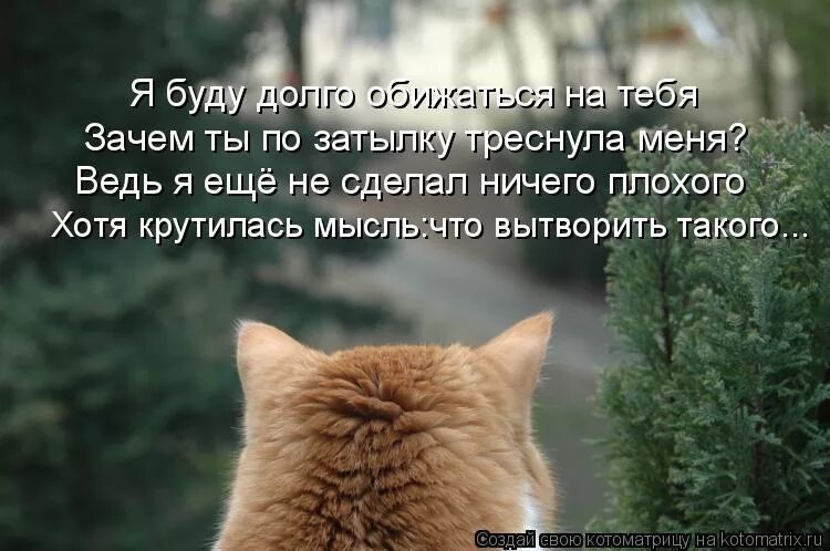 Я не могу долго обижаться. Долго будешь обижаться на меня картинки. Долго еще будешь обижаться. Картинка долго будешь обижаться. Ты ведь не умеешь читать