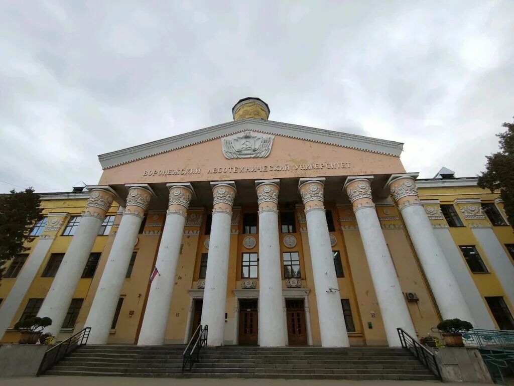 Воронежский государственный университет фото. Воронежский лесотехнический институт. ВГЛТУ им. г.ф. Морозова, Воронеж. Воронежская лесотехническая Академия ВГЛТА. ВГЛТУ Лесной Факультет.