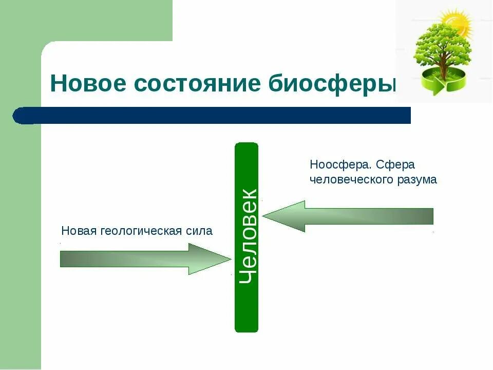 Почему человека называют жителем биосферы. Состояние биосферы. Человек житель биосферы. Человек как житель биосферы и его влияние на природу земли. Человек житель биосферы и его влияние на биосферу.