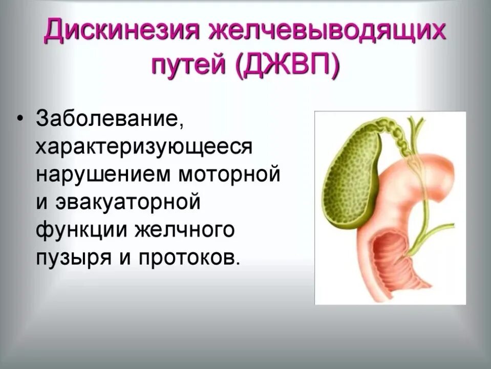 Моторика желчного пузыря. Заболевания билиарной системы у детей.