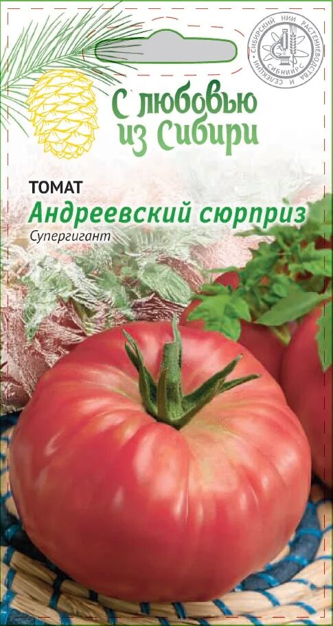 Сорт томатов андреевский сюрприз отзывы. Сорт помидор андреевский сюрприз. семена алтая томат андреевский сюрприз. андреевский сюрприз томат описание. томат андреевский сюрприз характеристика.