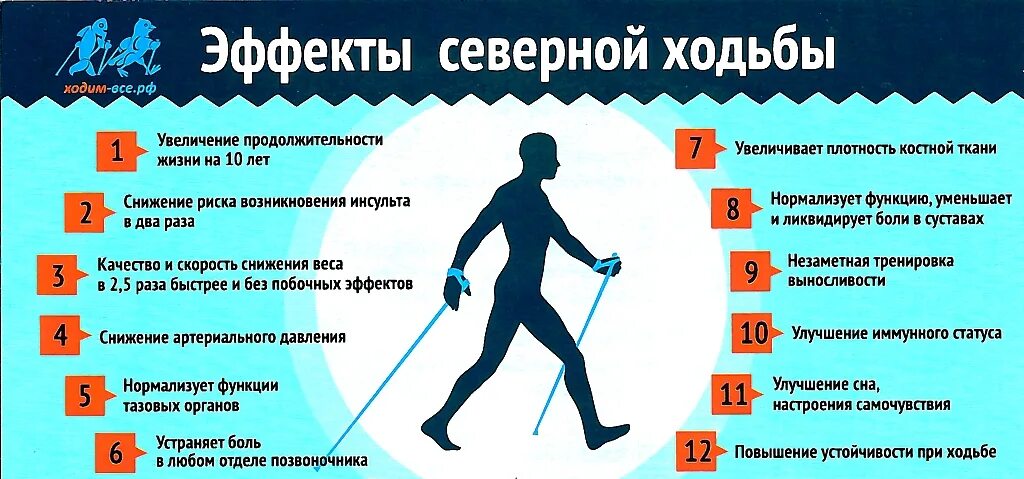 Скандинавская ходьба польза. Скандинавская ходьба польза для здоровья. Польза от скандинавской ходьбы. Плюсы скандинавской ходьбы.