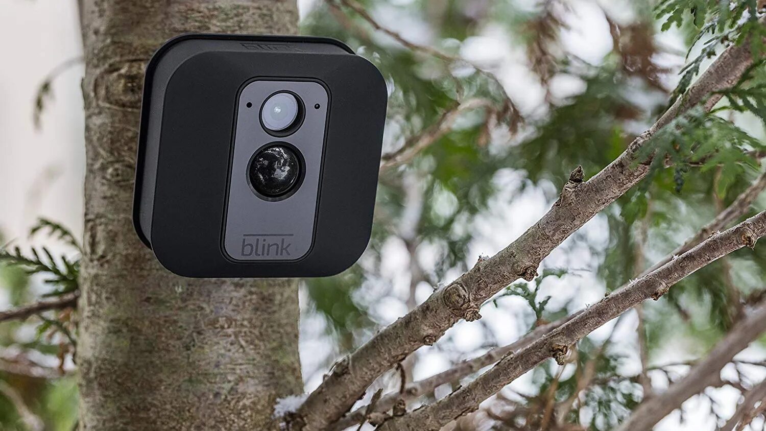 Blink Outdoor Camera. Камера наблюдения беспроводная для улицы. Камера умный дом. Беспроводная всепогодная камера для леса.