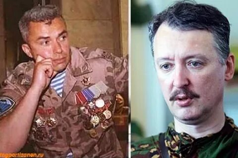 Гюрза позывной википедия