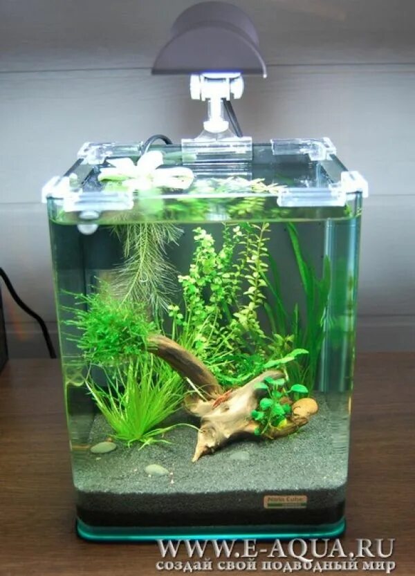 Nano cube. Аквариум dennerle nano cube на 10 л. nano cube аквариум dennerle. аквариум dennerle nanocube 10 литров. аквариум dennerle nano cube на 20.