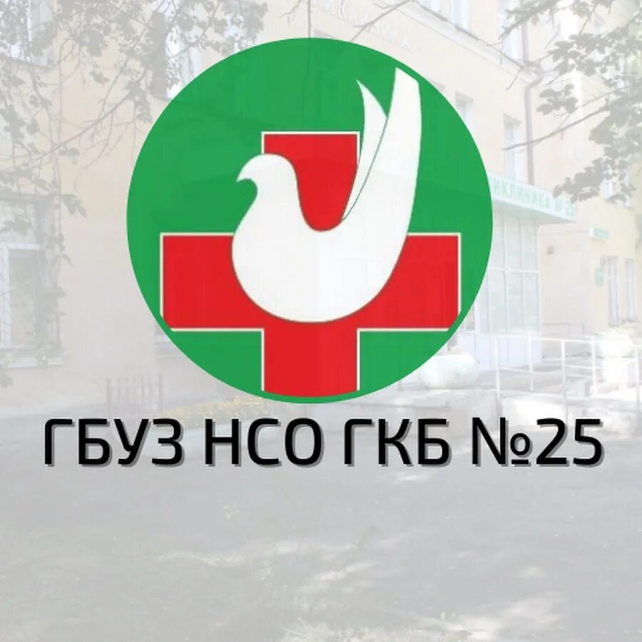 Гбуз нсо городская клиническая больница №2. Гбуз нсо городская клиническая больница № 25. Гбуз 25 новосибирск. (главный врач) гбуз нсо "гкб № 12". 25 больница новосибирск.