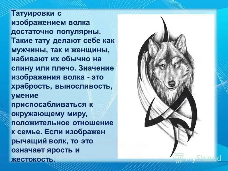 Объяснить слово волком. Тату волк. Татуировка волк значение. Татуировки с изображением волка. Татуировка волка на плече.