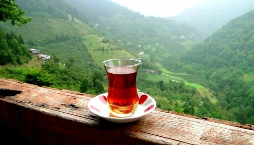 Горячий чай на фоне гор. Чай в горах. Чай в горах. Чай на природе. Пить чай в горах.