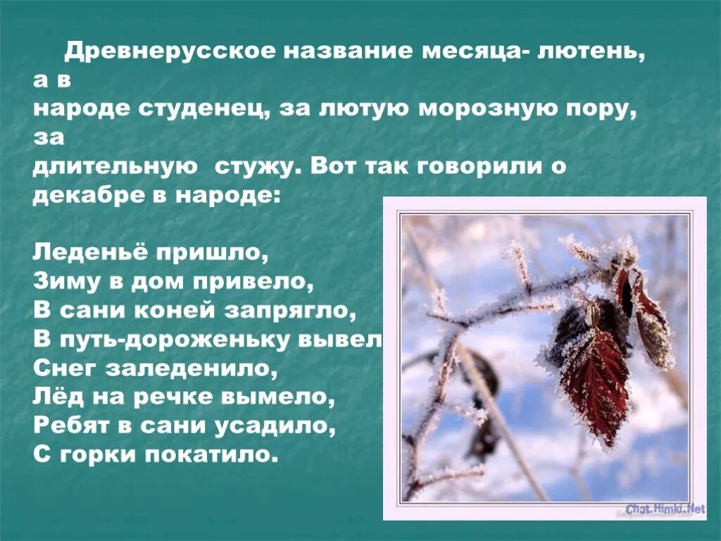 Расскажи декабрь