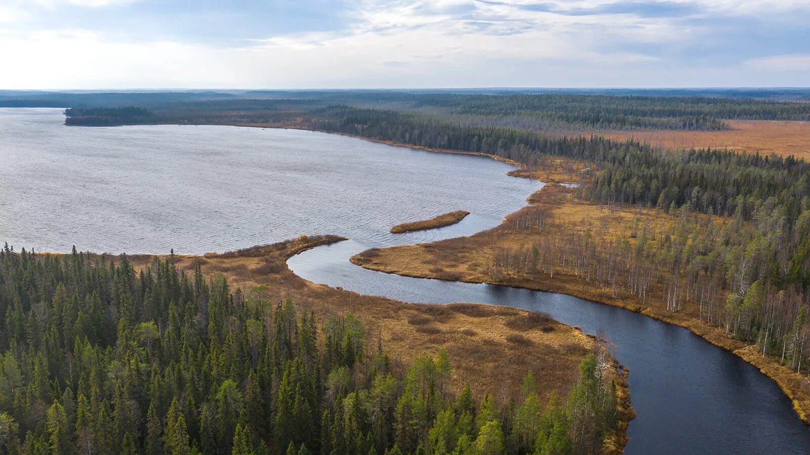 Водлозерский национальный парк Архангельской области. Водлозерский парк Онега. Онежский филиал Водлозерского национального парка. Национальный парк «Водлозерский» Карельский зоопарк. Водлозерский парк сайт