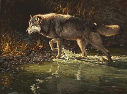 River wolves