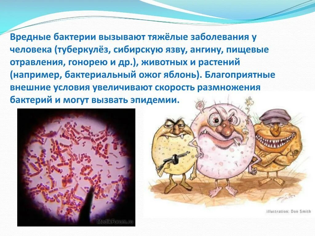 4 заболевания бактериями