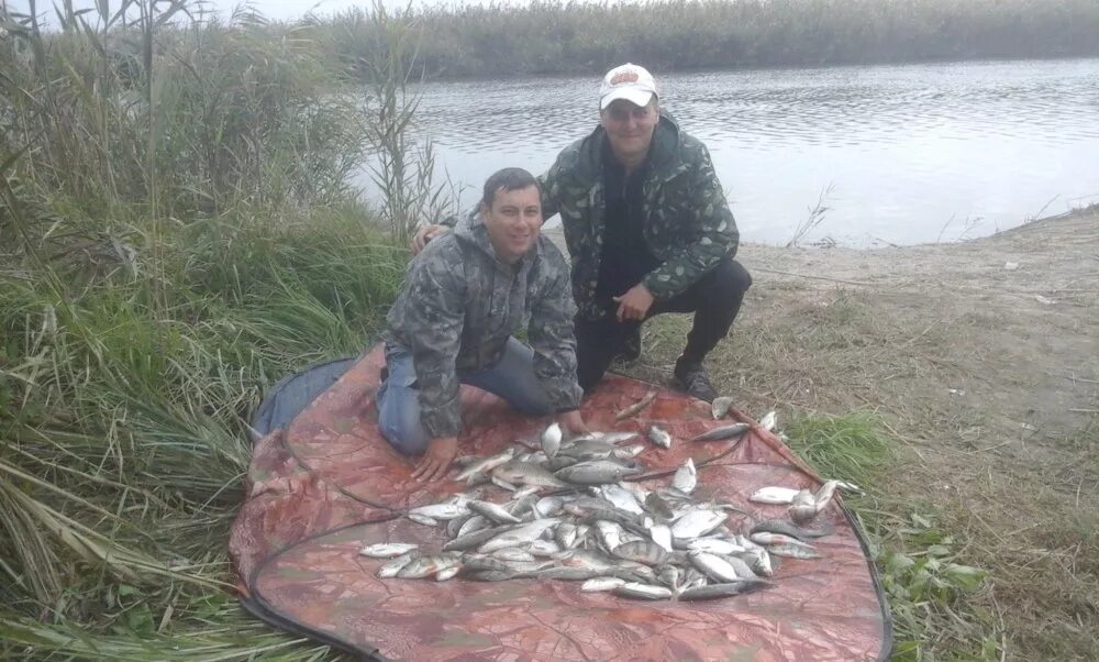 погода в среднем маныче