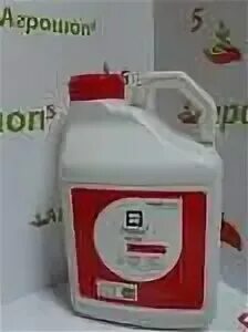 Глибест гранд