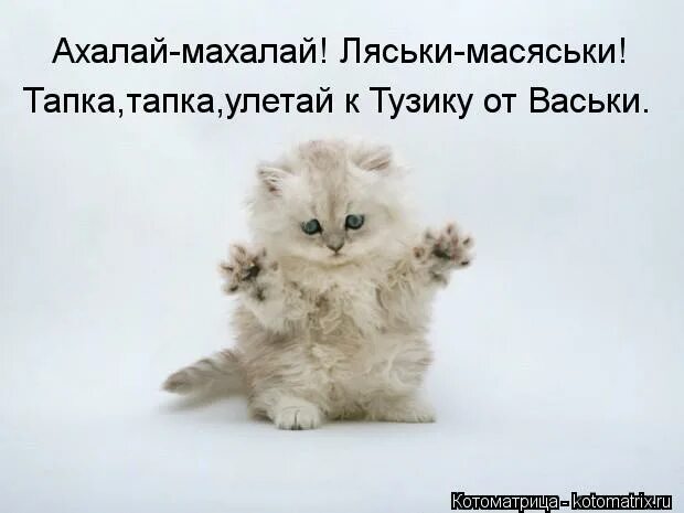 сяськи масяськи картинки. надо дунуть чтобы чудо произошло. ахалай махалай ляськи масяськи. ляськи масяськи. ляськи масяськи.