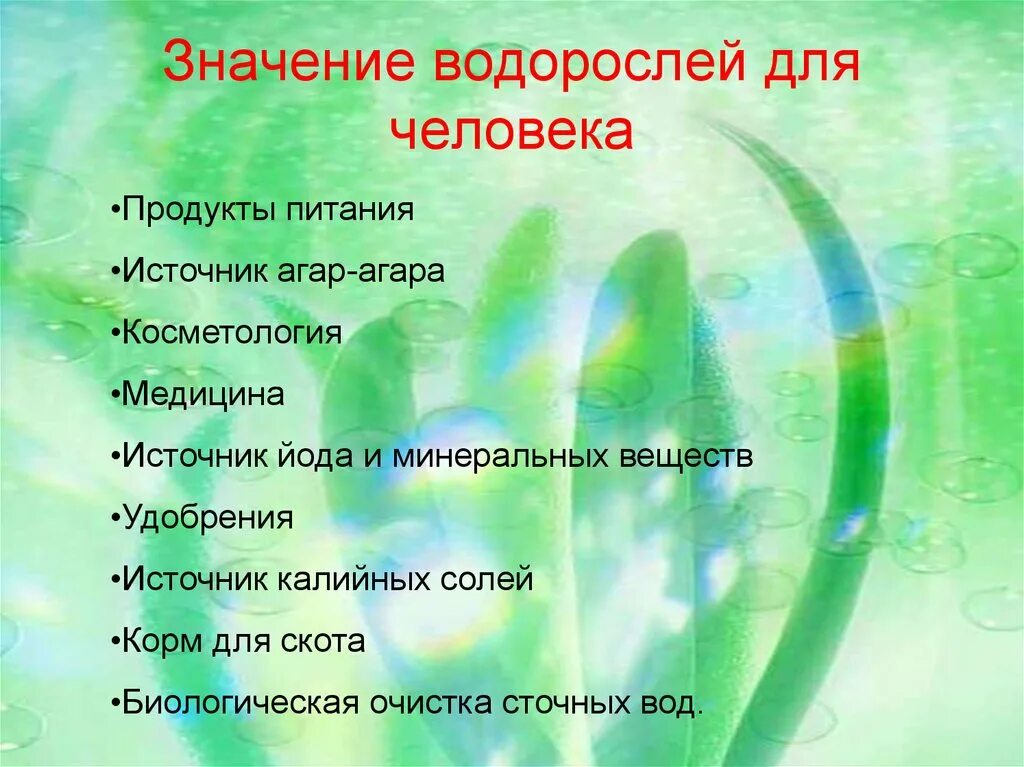 Защита водорослей. Значение водорослей. Полезные водоросли для человека. Значение водорослей в природе и жизни человека. Значение водорослей для человека.