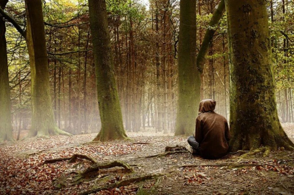 Человек который любит лес. Заблудился в лесу. Человек в лесу. Одинокий лес. Фотосессия в лесу.