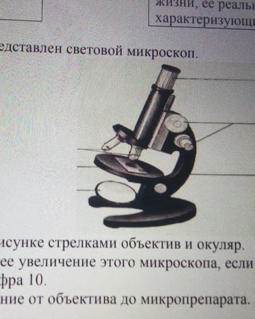 Как определить увеличение которое дает микроскоп. Увеличение светового микроскопа. цифры на окуляре микроскопа. объективы светового микроскопа. надписи на объективе и окуляре микроскопа.