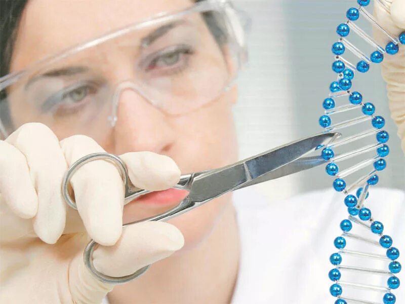 открытия в медицине. научные технологии в медицине. развитие медицины. новейшие открытия в медицине. открытия в сфере медицины.