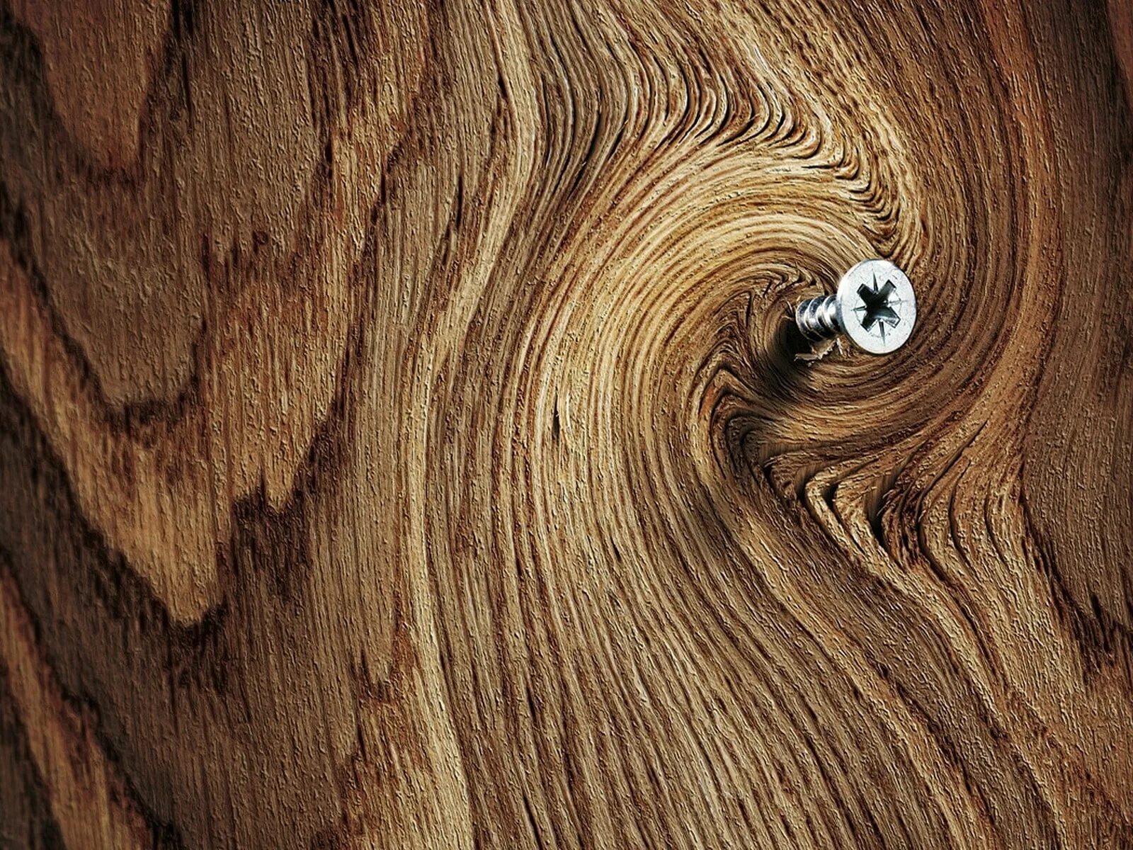 Фактура дерева. Красивая фактура дерева. Красивая древесина. Текстура древесины.
