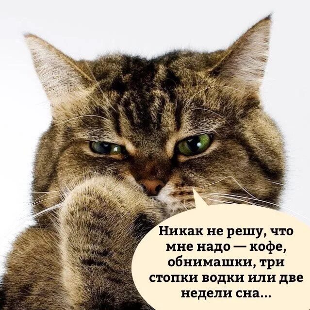 Никак не в связи. Никак не решу что мне надо. Котик сомневается. Никак не решу что мне надо кофе обнимашки. Картинка никак не решу что мне надо.