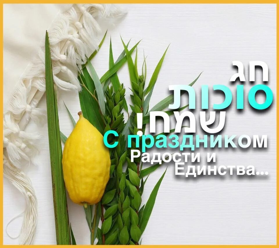 Хаг суккот самеах. Хаг суккот. суккот открытки. с праздником суккот открытки.