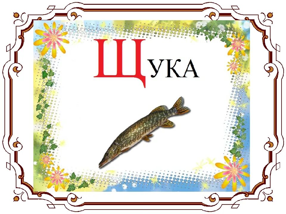 Л м о с щ ш