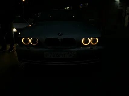 Жігіттер өз аузына тамып жатыр (фото)