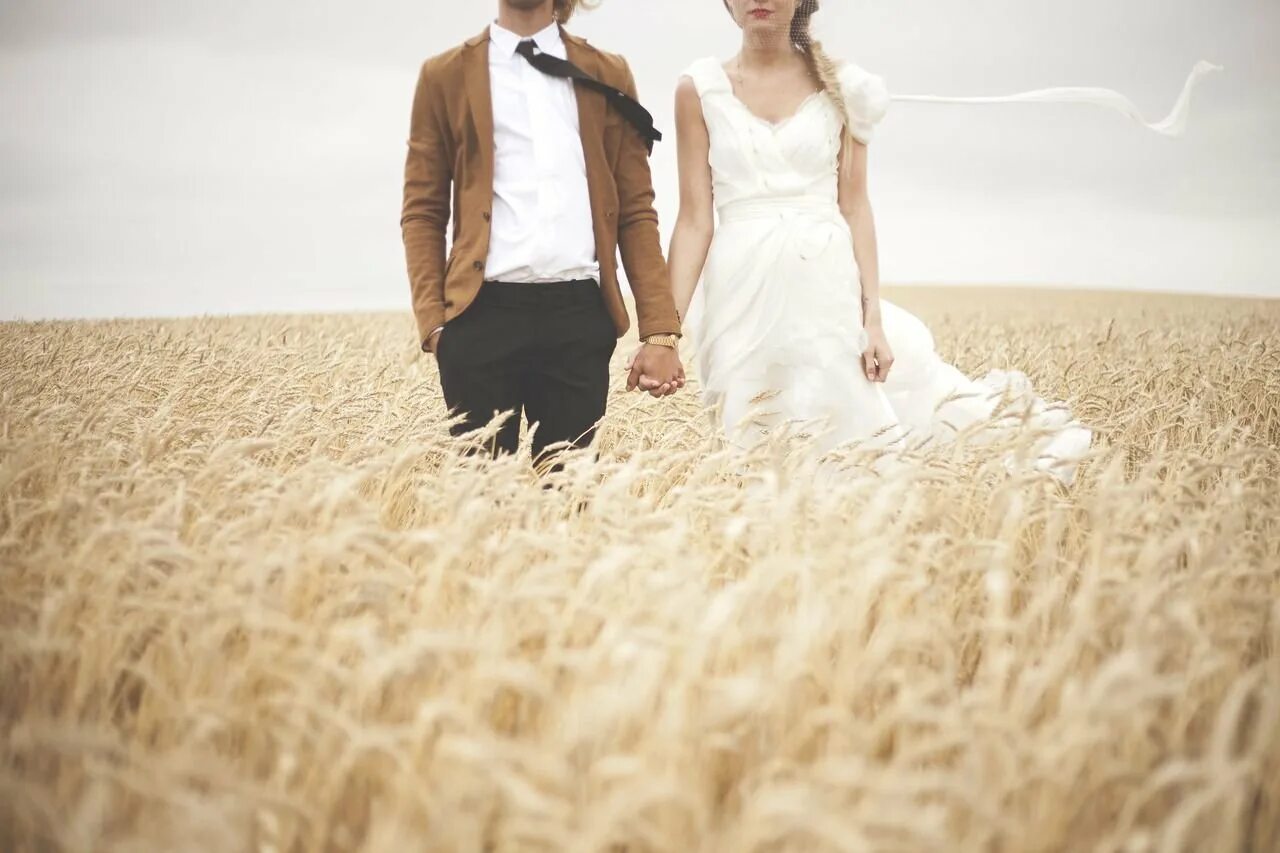 Свадьба лаванда. Фотосессия в лаванде. Свадебная фотосессия в поле пшеницы. Свадебная фотосессия в поле летом. Свадьба в поле.