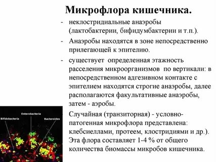 Инфекции вызванные флорой